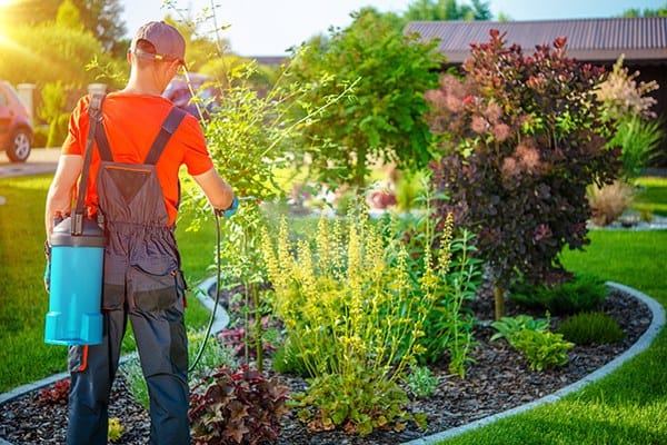 landscaping